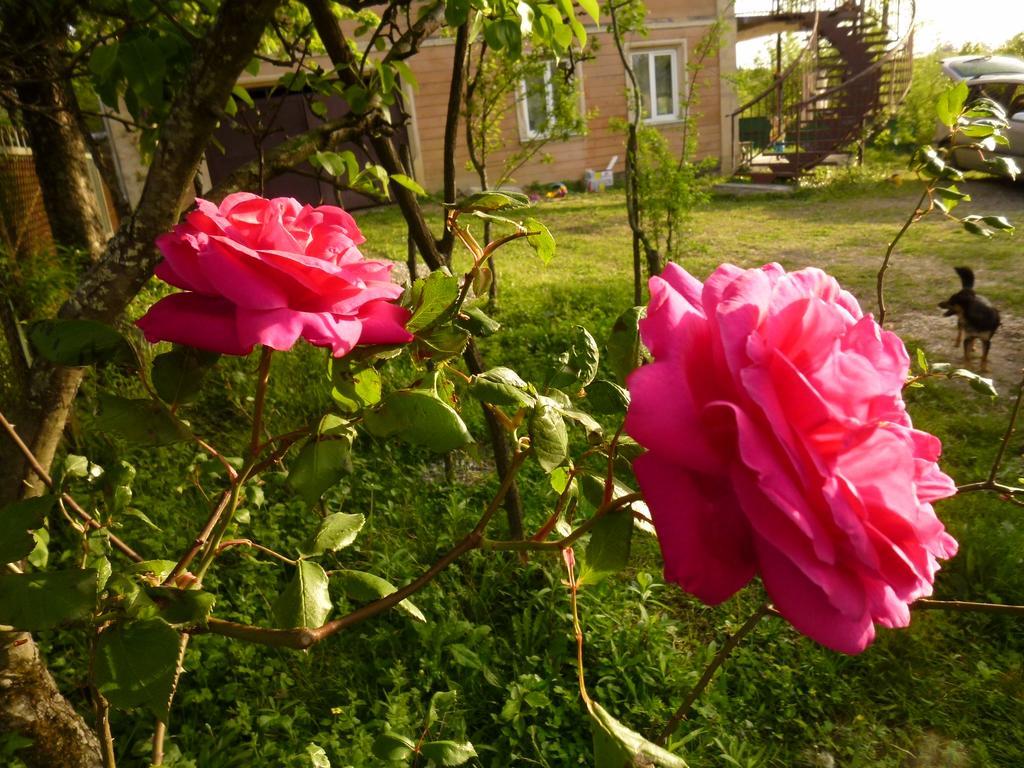 Country House Uliana Tskaltubo Exterior foto