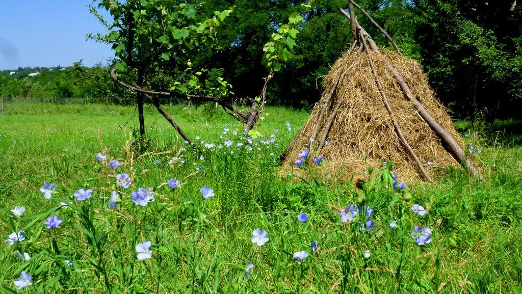 Country House Uliana Tskaltubo Exterior foto